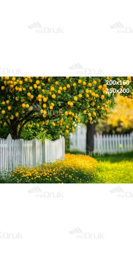 Tło fotograficzne Cytryny 3466